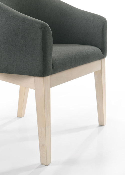 Neroli - Barrel Accent Chair (Set of 2) - Gray