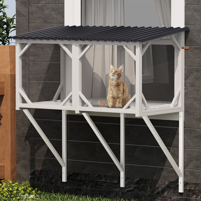 Cat Window Box