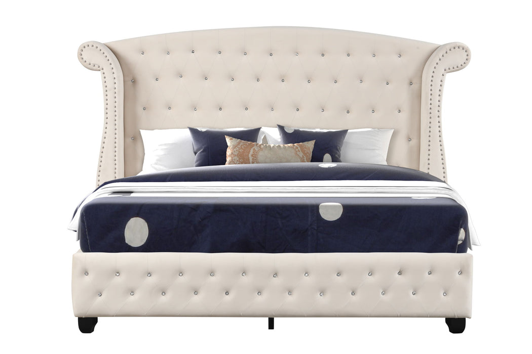 Sophia - Upholstered Bed